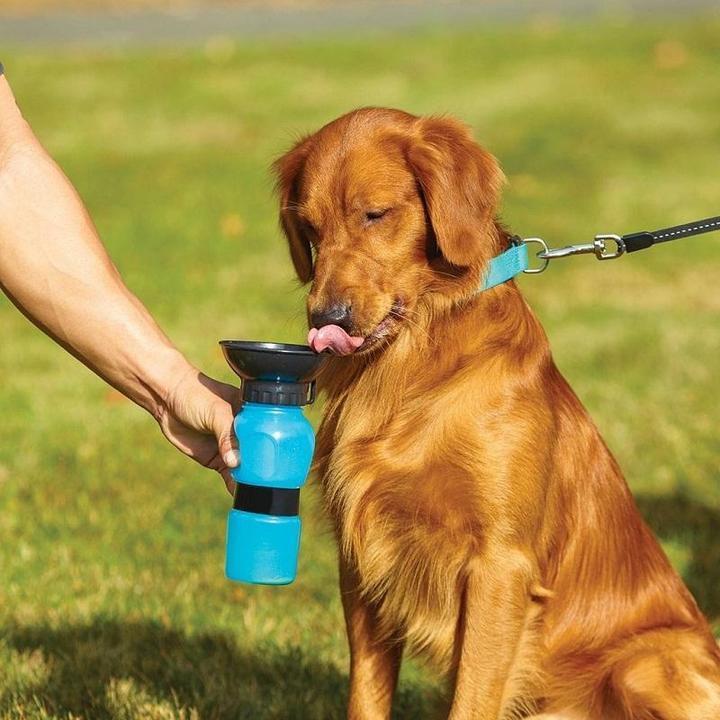 Gadgets d'Eve bricolage Nourrisseur d'eau extérieur pour les chiens