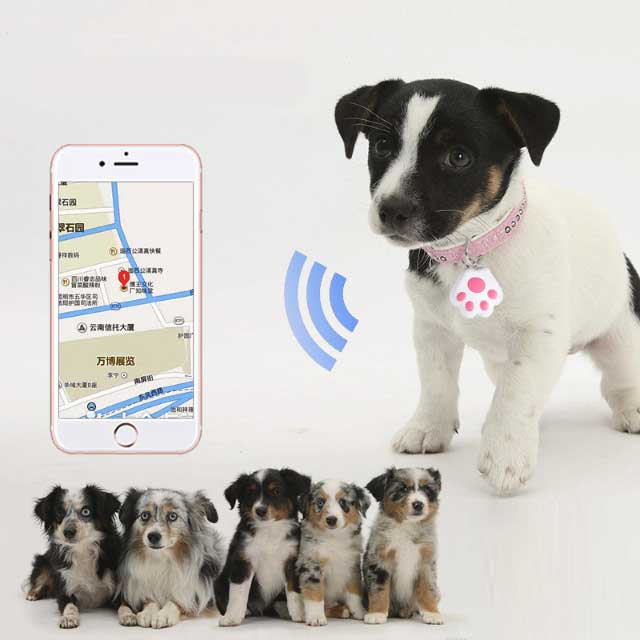 Gadgets d'Eve animaux de compagnie PETRACK™ : Traqueur GPS pour animaux